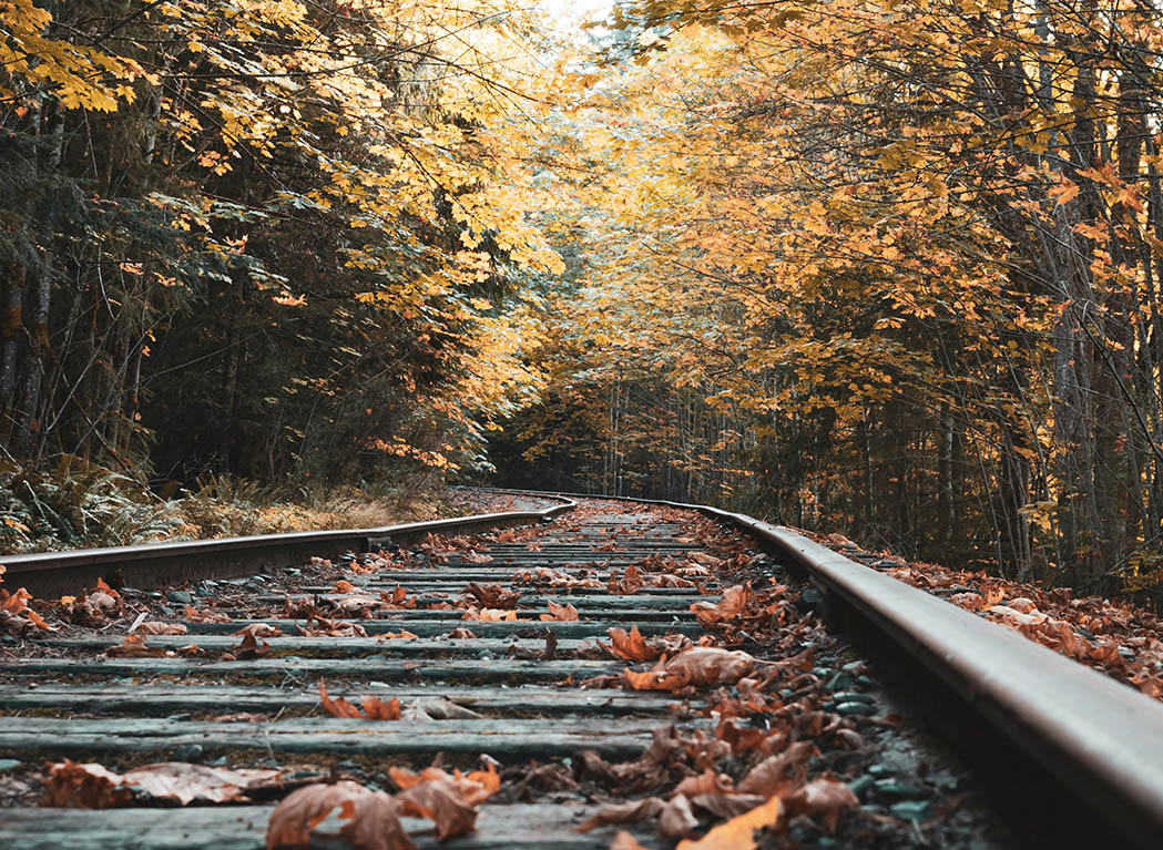 Crafting Autumn Memories: Turning Seasonal Inspiration into Accessories