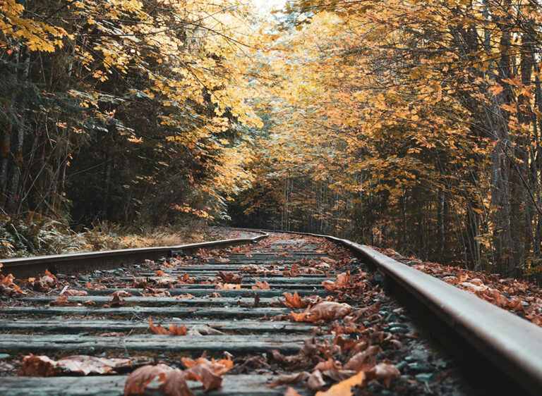 Crafting Autumn Memories: Turning Seasonal Inspiration into Accessories